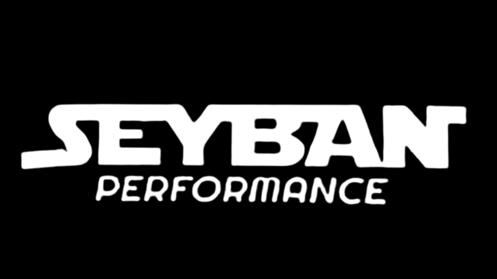 Seyban Performance Logo